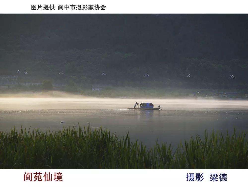了解中考没考好怎么办？还能上什么学校？知识星球，深度分享交流平台