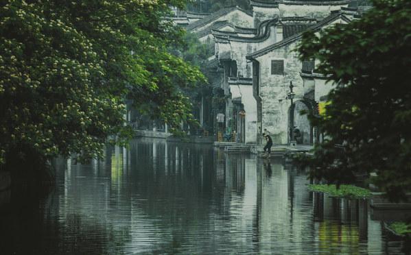 加入孩子情绪失控的原因知识星球,提升你的知识水平
